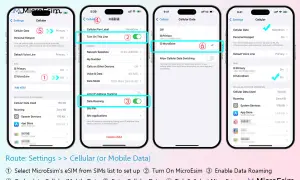 Configuration d'un esim instantané : activer la ligne, activer l'itinérance des données, puis sélectionner l'eSIM MicroEsim.