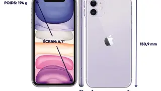 Dimensions de l'iPhone 11 : écran 6,1 pouces, hauteur 150,9 mm, largeur 75,7 mm, épaisseur 8,3 mm, poids 194 g.