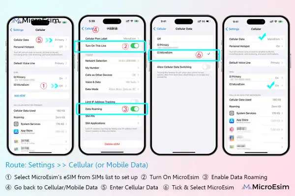 Configuration d'un esim instantané : activer la ligne, activer l'itinérance des données, puis sélectionner l'eSIM MicroEsim.